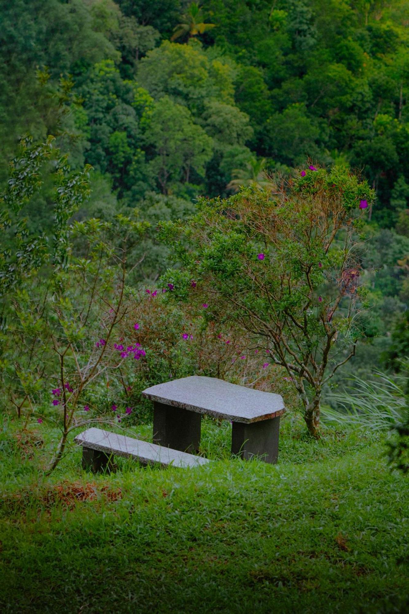 Haze And Kites Resort Munnar Exterior foto