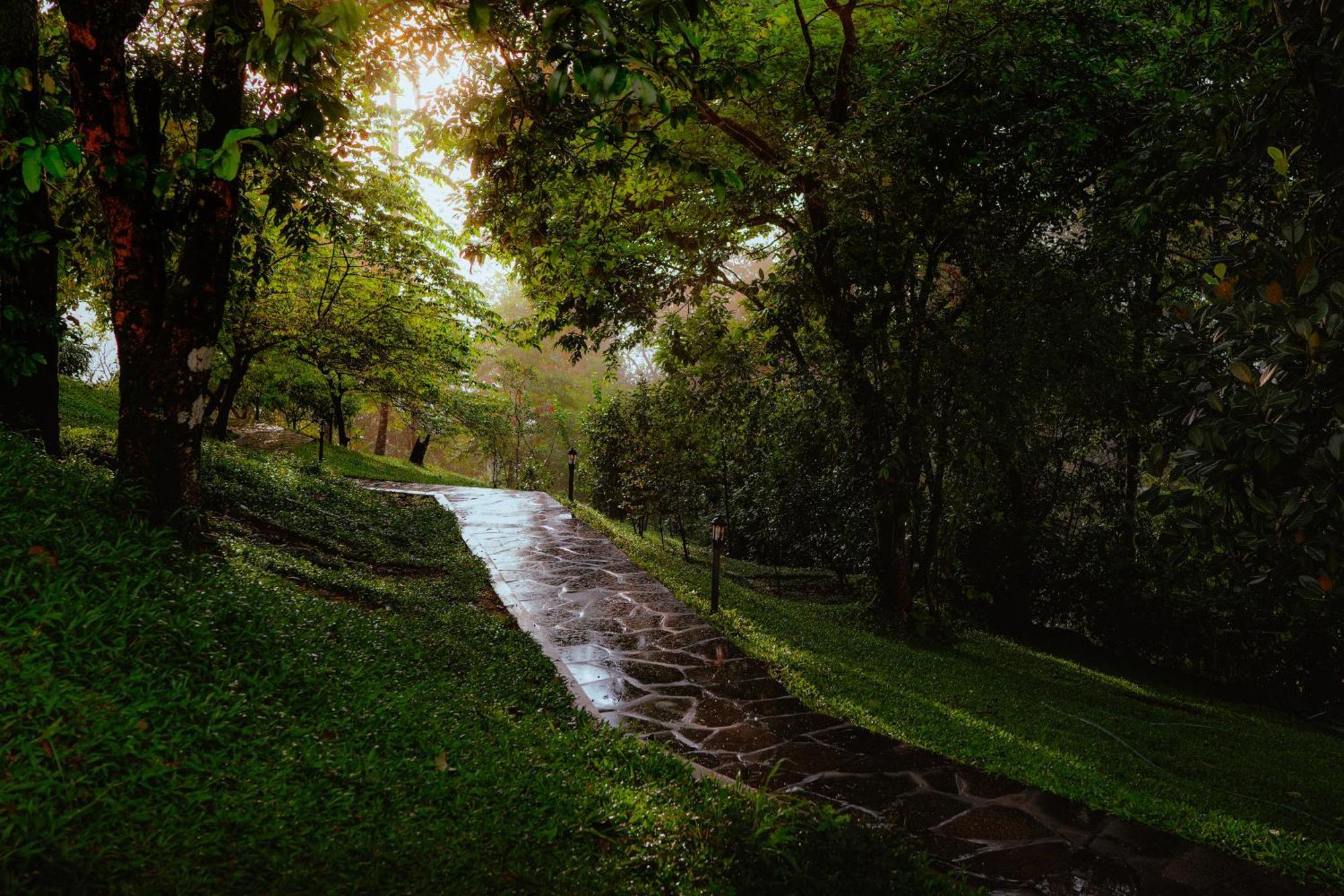 Haze And Kites Resort Munnar Exterior foto