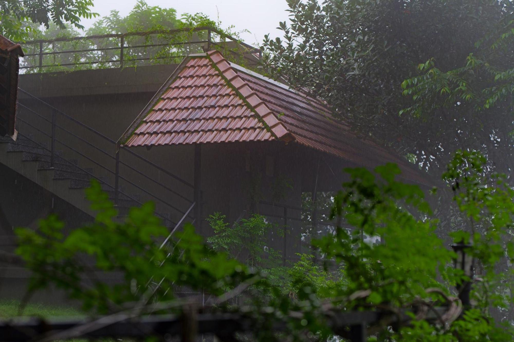 Haze And Kites Resort Munnar Exterior foto